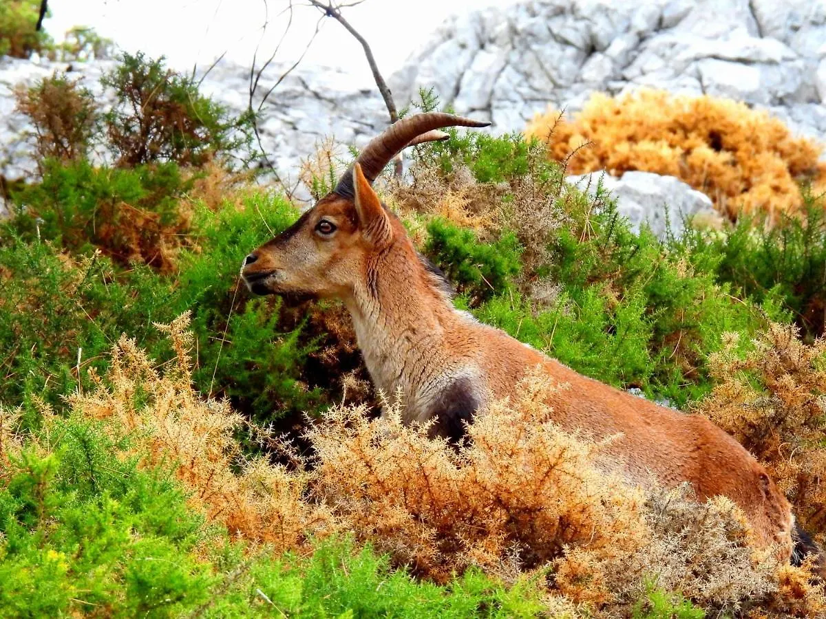 Сasa de vacaciones La Casa del Naturalista El Bosque España