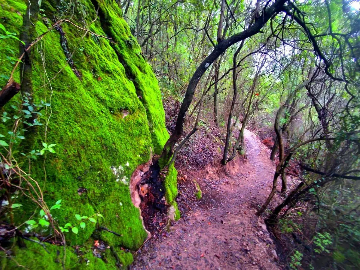 La Casa Del Naturalista El Bosque Spanien
