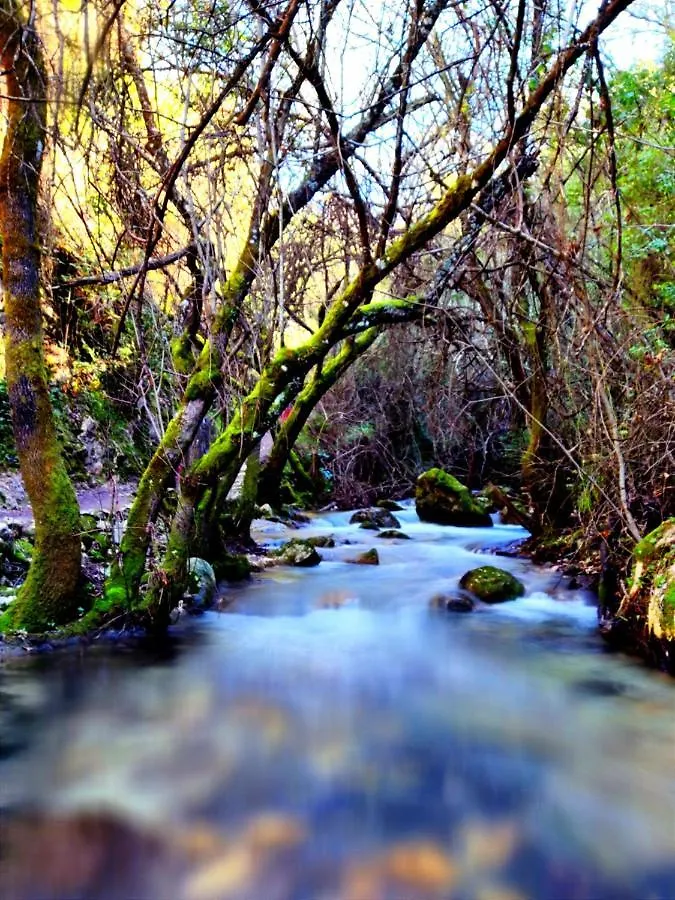 Semesterbostad La Casa Del Naturalista El Bosque Spanien