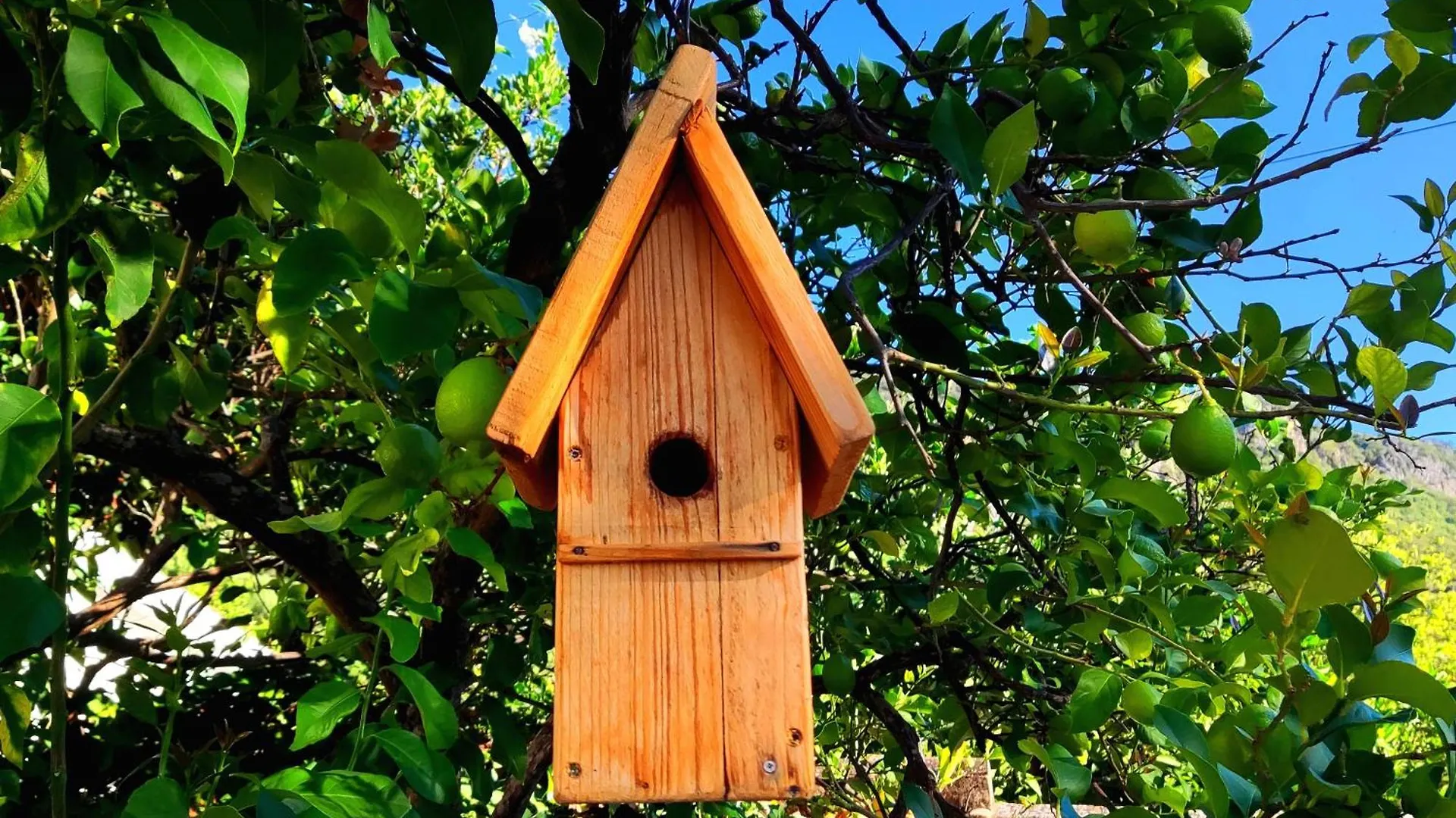 La Casa Del Naturalista El Bosque